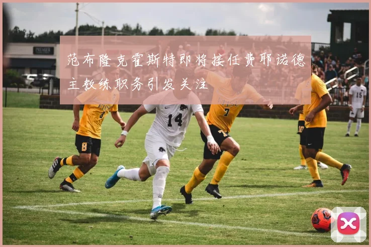 范布隆克霍斯特即将接任费耶诺德主教练职务引发关注